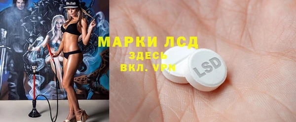 PSILOCYBIN Сатка