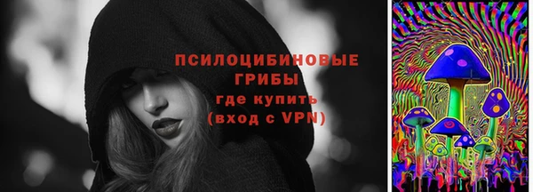 меф Арсеньев