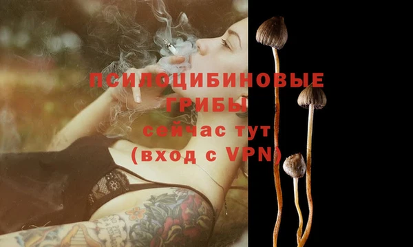 меф Арсеньев
