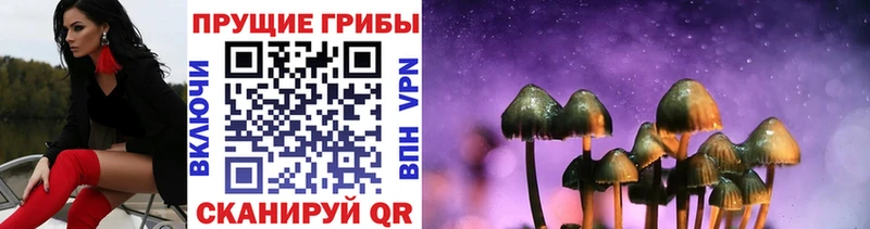 купить   Спас-Деменск  ОМГ ОМГ онион  Галлюциногенные грибы Magic Shrooms 